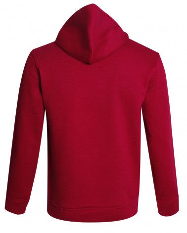 Dos du sweat à capuche Fighter Otago rouge pour homme